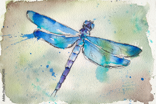 Aquarellzeichnung einer Libelle - Abstrakte Illustration photo