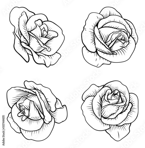 Set of Roses Rose Flowers i...