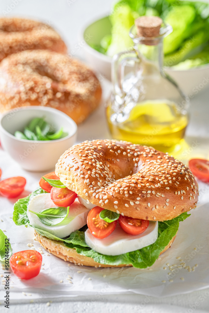 Spring and homemade bagels with tomatoes, cheese and basil. Spring and homemade bagels with tomatoes, cheese and basil.