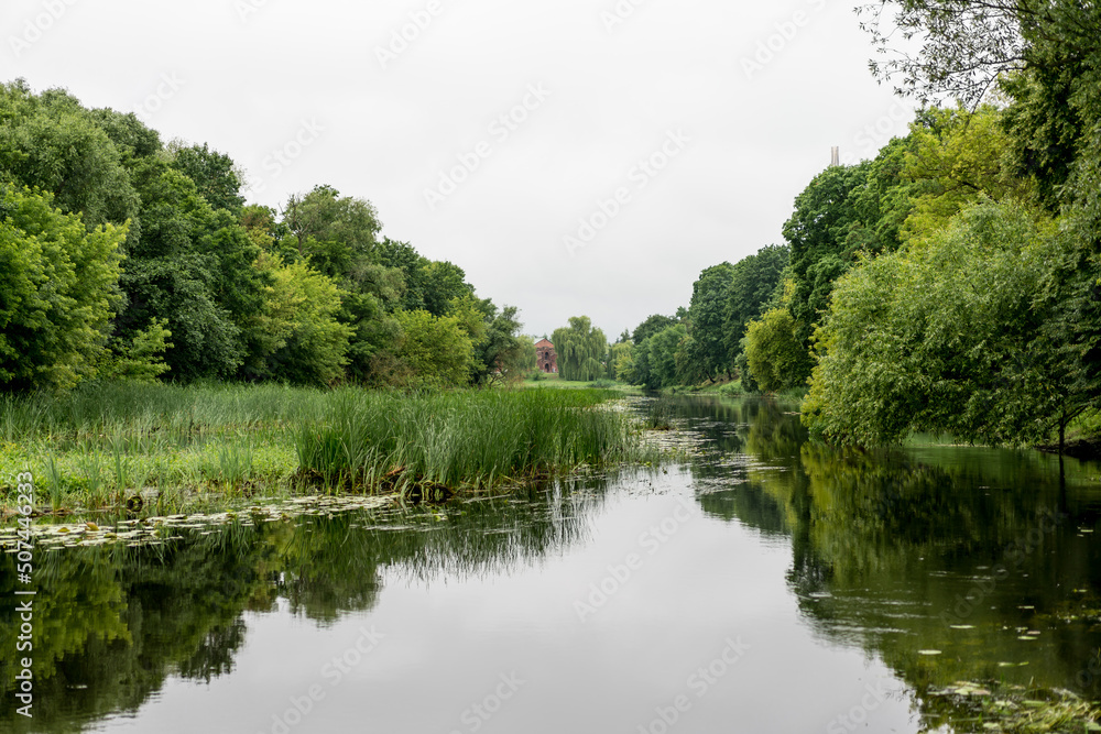 Beautiful pond with tall grass and green trees near the Brest Fortress. Space for text.