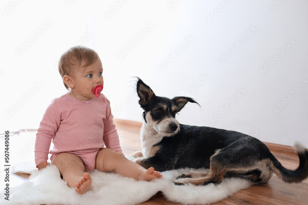 Adorable baby with pacifier and cute dog on faux fur rug indoors Adorable baby with pacifier and cute dog on faux fur rug indoors