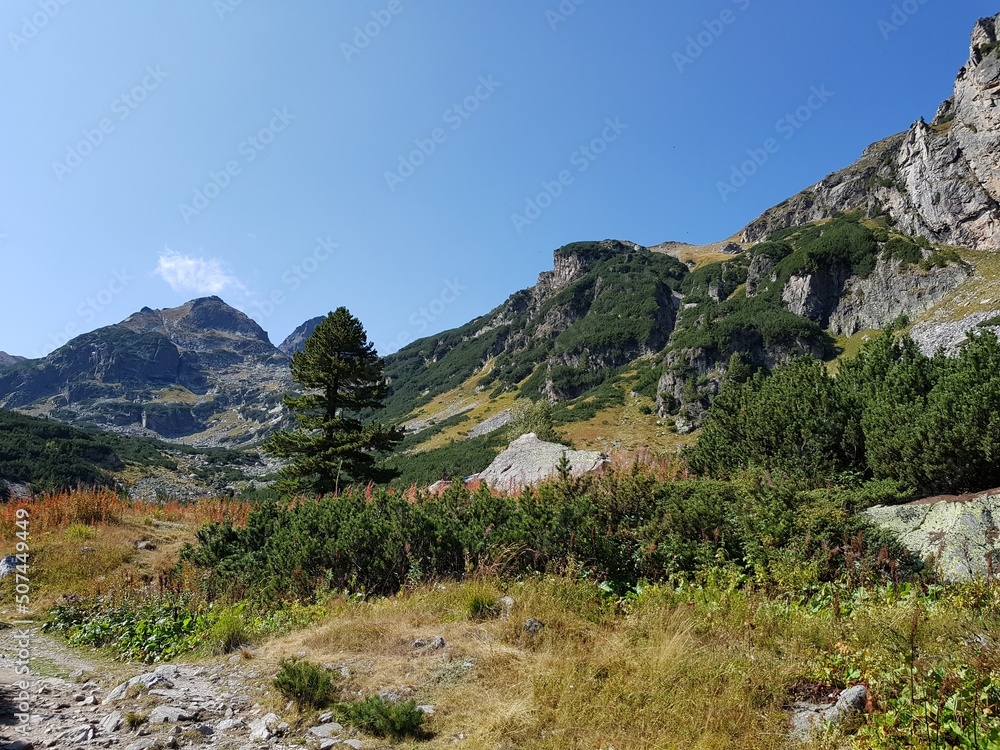 mountain mountain