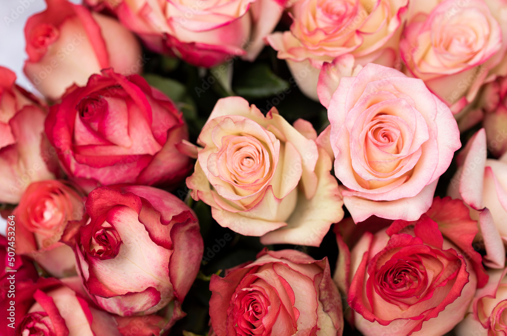 bouquet of pink roses bouquet of pink roses