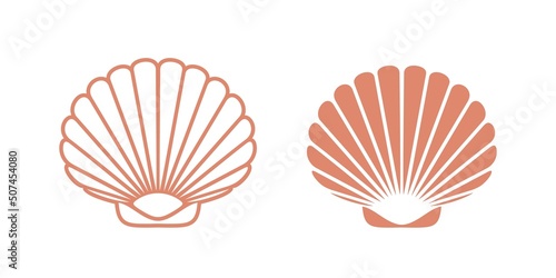 Scallop set. Isolated scallop  on white background