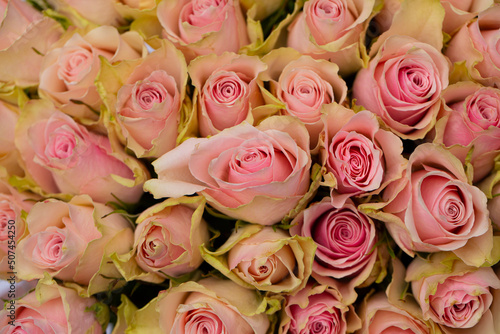 pink roses bouquet © Erika