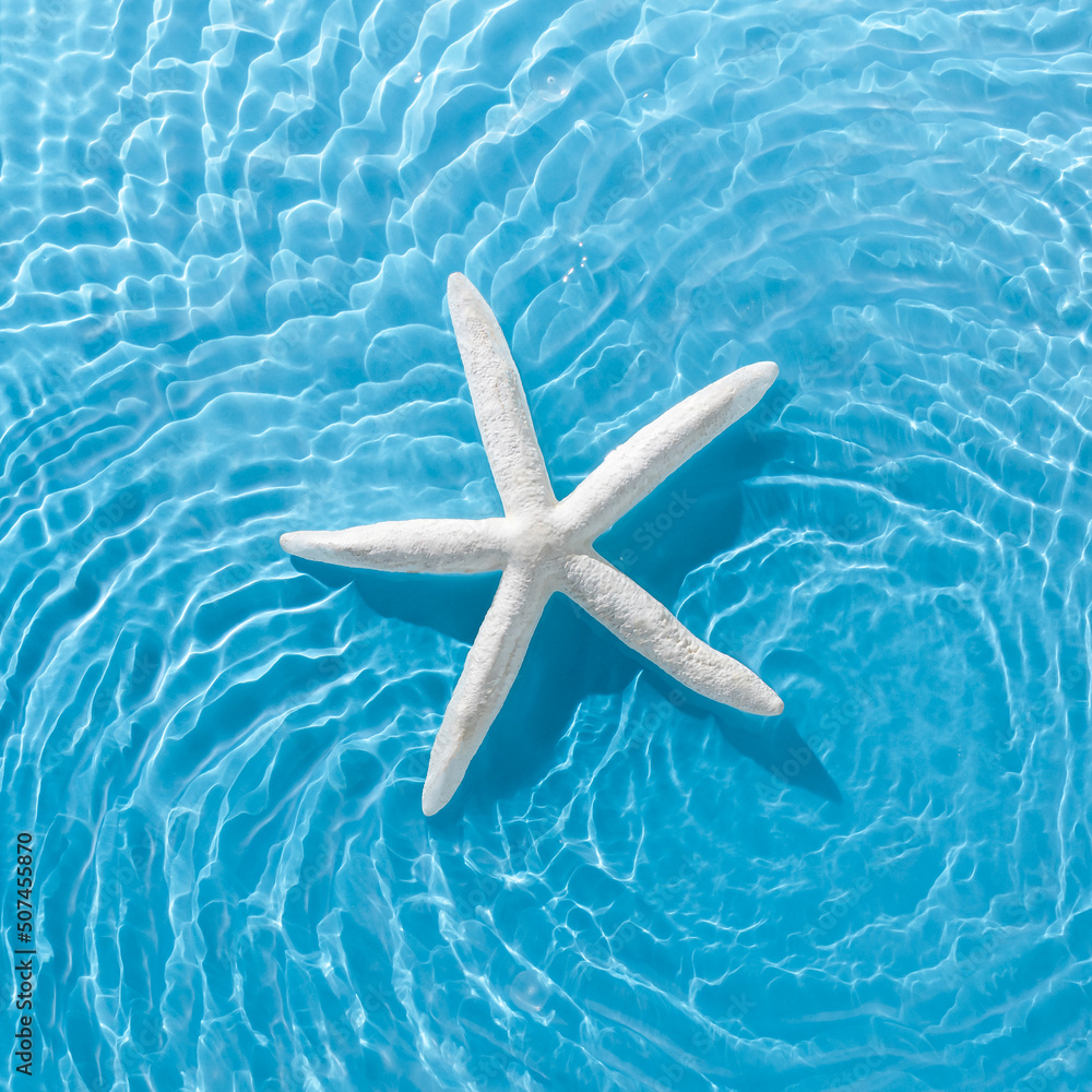 White sea star on bright wavy water. Minimal summer vacation concept. Sea or ocean enjoying background. Flat lay. White sea star on bright wavy water. Minimal summer vacation concept. Sea or ocean enjoying background. Flat lay.