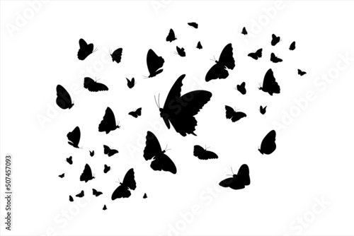 Beautiful butterfly. Flock of silhouette black butterflies on white background