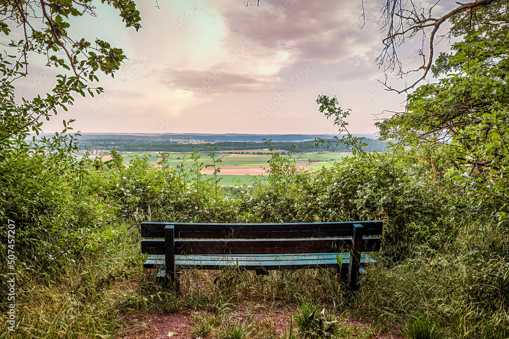 Fototapeta premium Der Lienzinger Weinberg