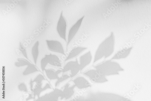 Tree shadow and leaf branch background. Nature leaves tropical jungle tree branch dark shadow and light from sunlight on white wall texture for background wallpaper, shadow overlay effect