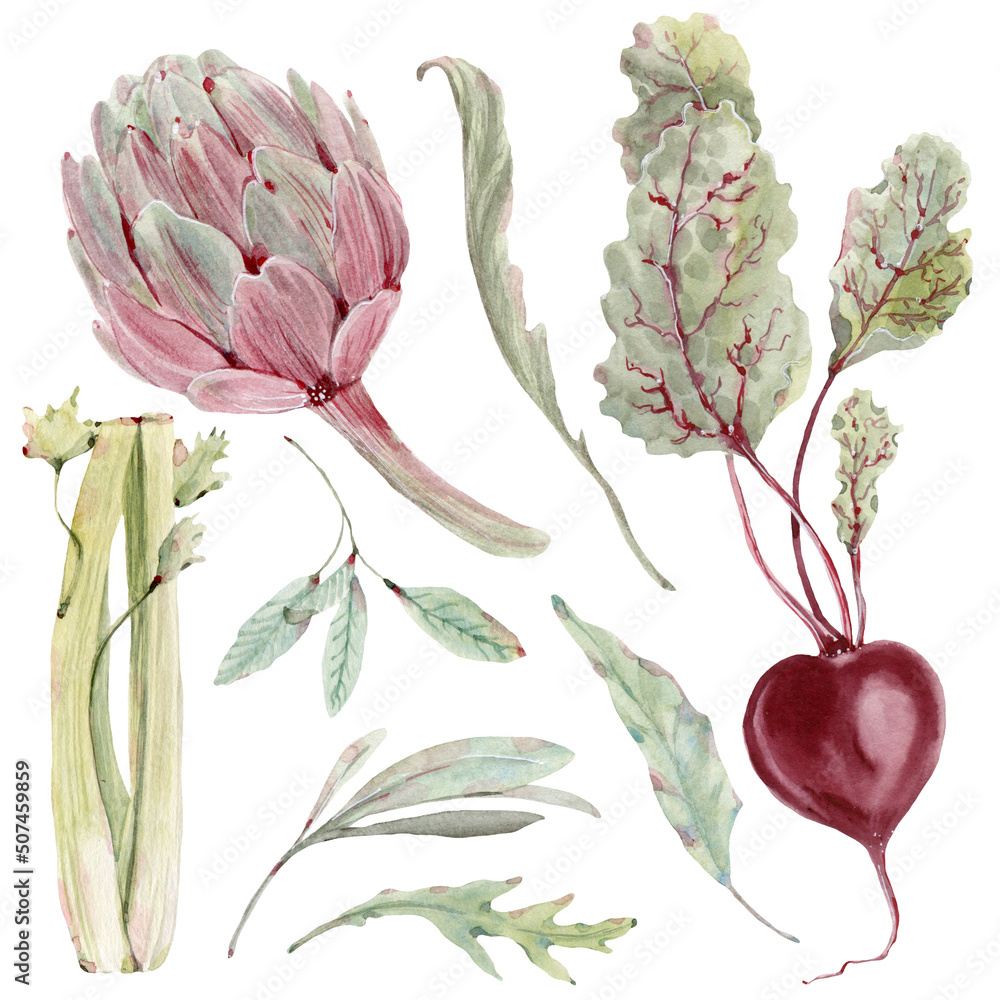 Fototapeta premium Watercolor greenary illustrations. Perfect for vegan or seasonal menu, vegan party, vegan day cards.
