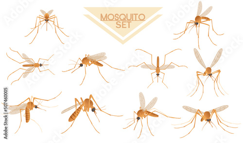 Collection of Brown mosquito bloodsucking insect cartoon design vector illustration isolated on white background