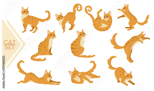 Collection of Ginger cat cartoon standing on the ground cartoon animal design vector illustration isolated on white background