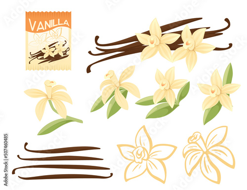 Set of Vanilla seasoning with flower and pods paper package vector illustration on white background