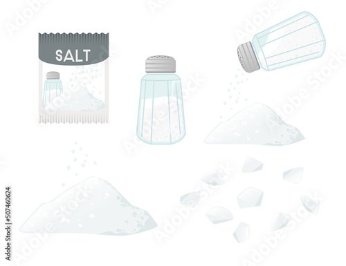 Set of salt seasoning with whole and milled powder salt paper package vector illustration on white background
