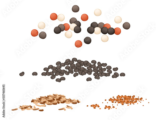 Set of seasoning with black pepper nutmeg poppy seeds powder package vector illustration on white background