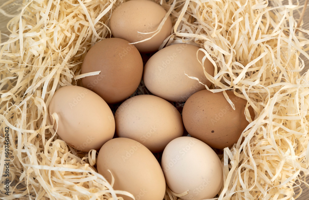 Farm chicken farm. Nest with brown chicken eggs. Farm chicken farm. Nest with brown chicken eggs.