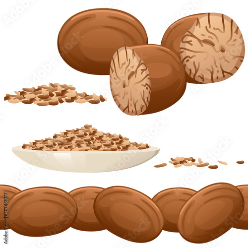 Seamless pattern of Fragrant nutmeg seasoning with whole and milled vector illustration