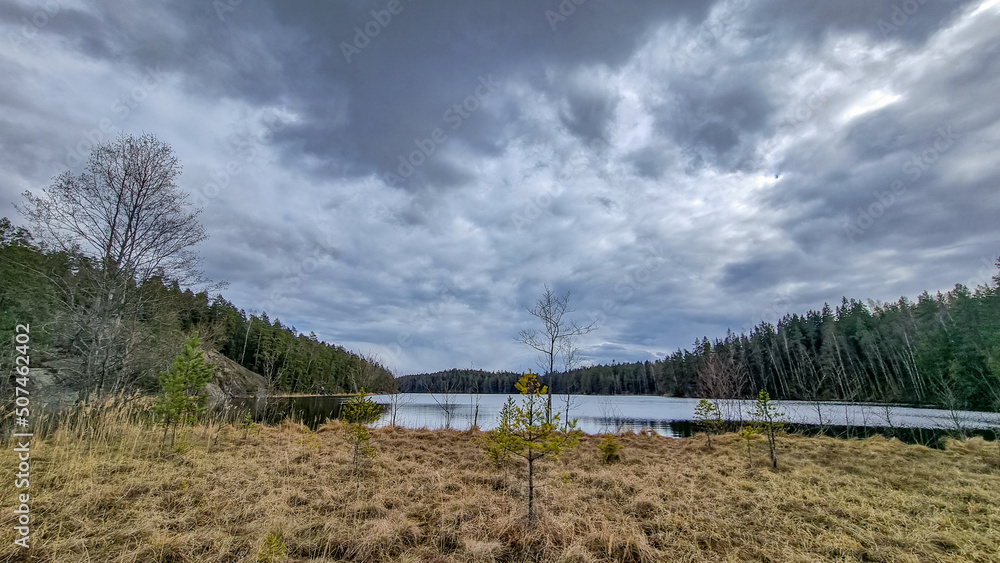 Obraz premium lake in the forest