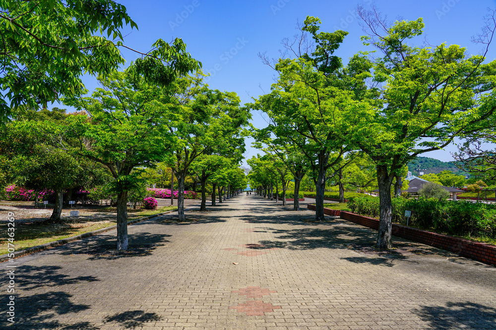 五色台の香川県総合運動公園（香川県高松市）