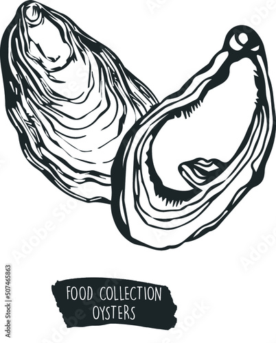collection of food, oyster ingredients