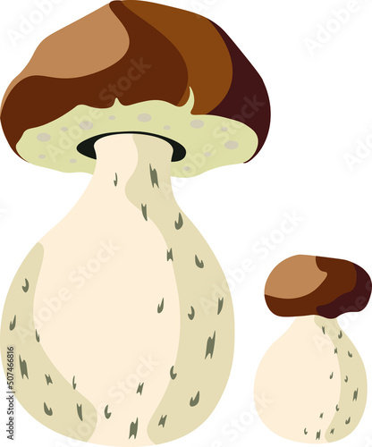  Autumn Mushrooms isolated Vector illustration on white background.