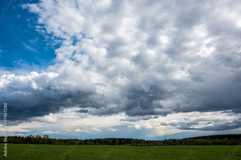 green field and trees and blue sky with white cloud green field and trees and blue sky with white cloud