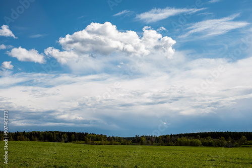green field and trees and blue sky with white clouds