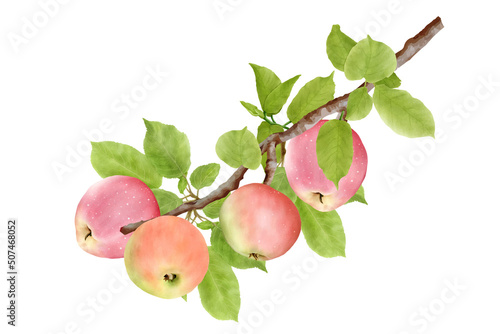 hand drawn apple branches background design