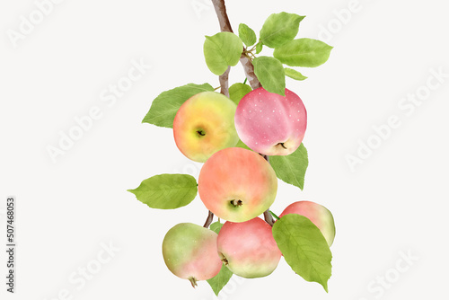 hand drawn apple branches background design