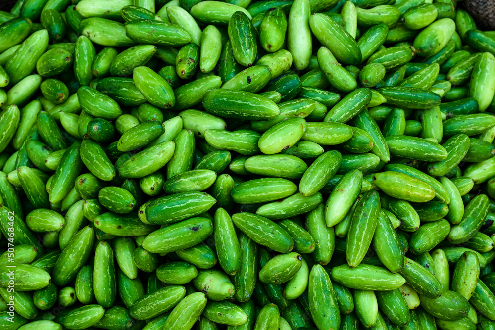 background pattern of vibrant green cucumbers from street market organic fresh vegetables healthy diet background pattern of vibrant green cucumbers from street market organic fresh vegetables healthy diet