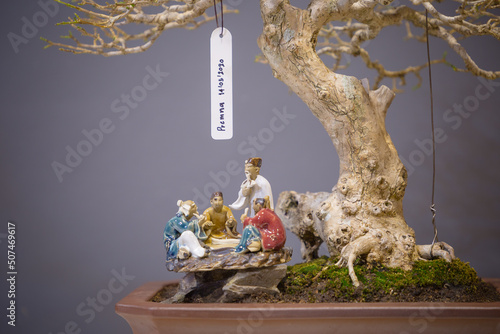 Wallpaper Mural Mini bonsai tree in the flowerpot on bonsai stand a natural background Torontodigital.ca