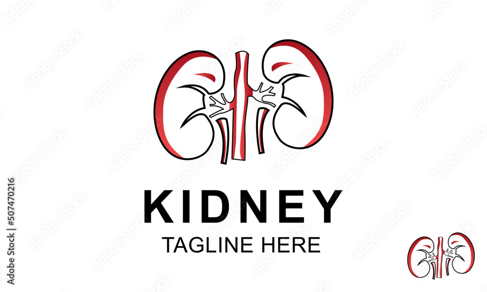 Kidney Logo Design Template. Kidney icon vector. Urology logo design template. Kidney Logo Design Template. Kidney icon vector. Urology logo design template.
