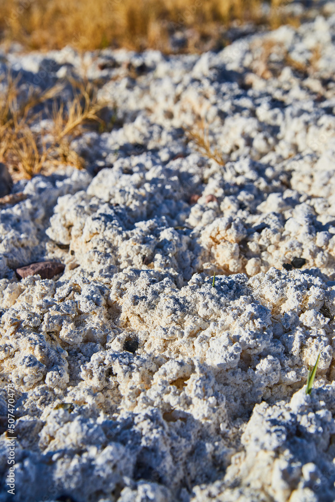 Detail macro view of unusual white sandy desert landscape Detail macro view of unusual white sandy desert landscape