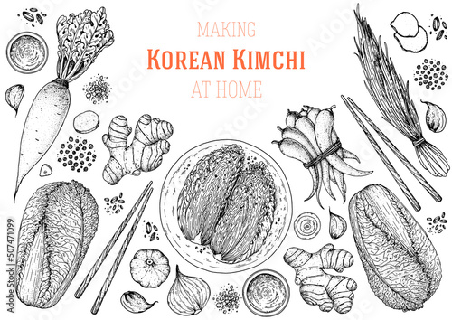 Kimchi cooking and ingredients for kimchi, sketch illustration. Korean cuisine frame. Healthy food, design elements. Hand drawn, package design. Asian food