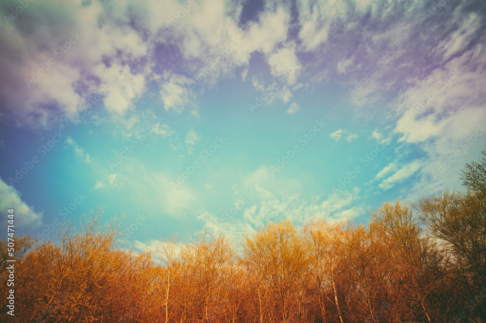 Fototapeta premium Vintage frame from trees against cloudy sky