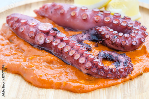 Octopus with romesco sauce photo
