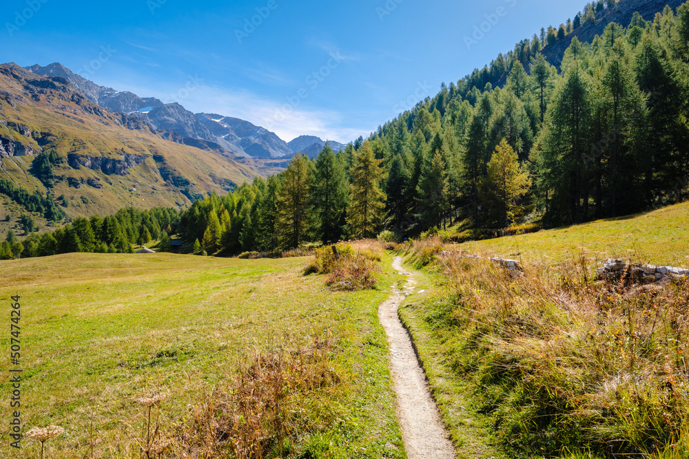Hiking trails in the Fex Valley (Switzerland) offer gorgeous views when walking from the entrance outside Sils Maria towards Fex Glacier at the end. It's located at an height of 1,800 to 2,000 metres