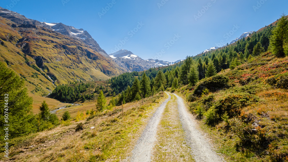 Fototapeta premium Hiking trails in the Fex Valley (Switzerland) offer gorgeous views when walking from the entrance outside Sils Maria towards Fex Glacier at the end. It's located at an height of 1,800 to 2,000 metres