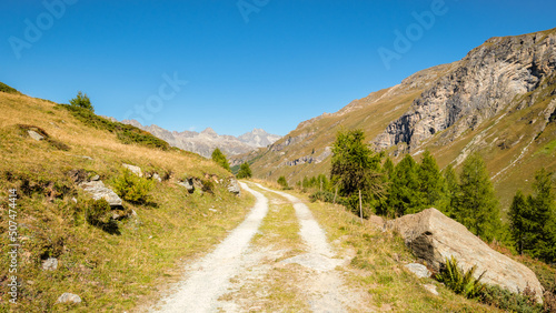 Hiking trails in the Fex Valley (Switzerland) offer nice views when walking from the Fex glacier at the end back towards the beginning near Sils Maria. It's a village in the Maloja Region (Engadin)