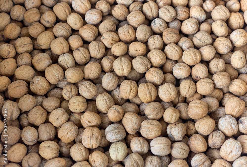 dried walnuts in the shell, in bulk, close-up dried walnuts in the shell, in bulk, close-up