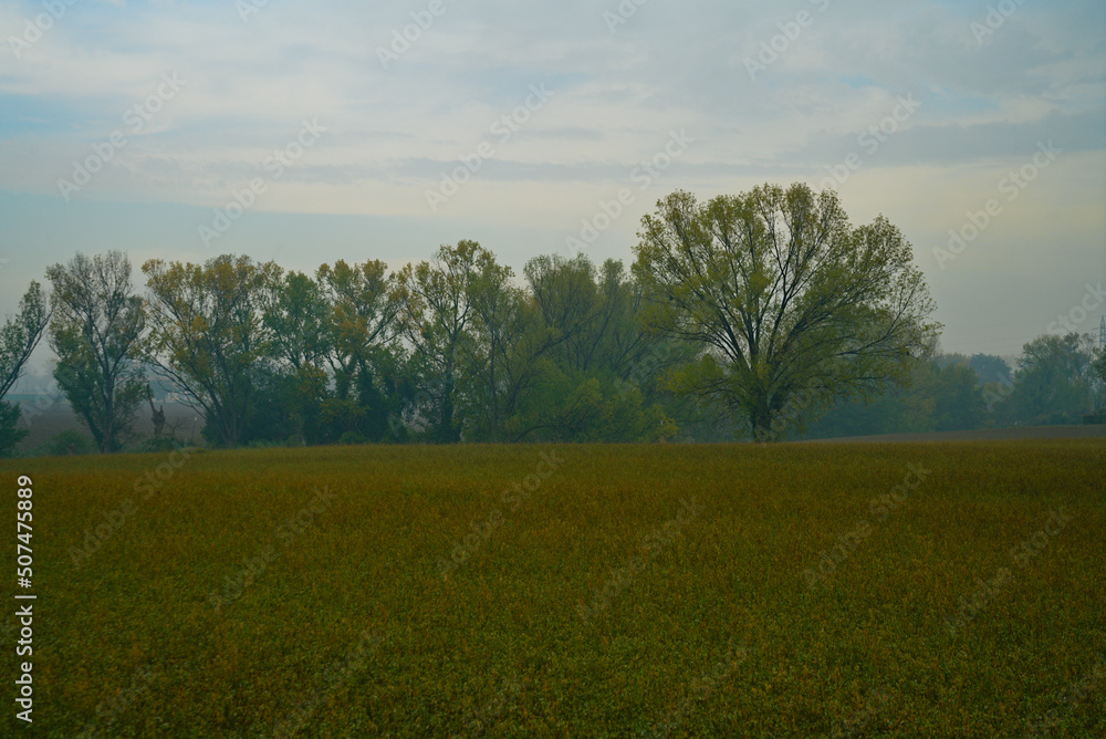 Obraz premium autumn misty landscape