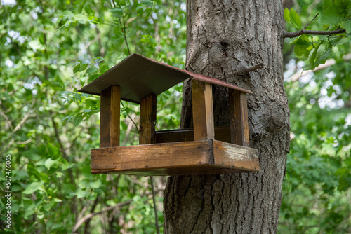 Wooden bird house in the forest.