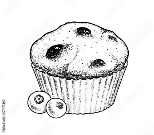 Vector sketch illustration of Blueberry Muffin