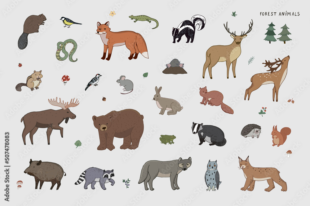 Forest animals vector illustrations set Forest animals vector illustrations set