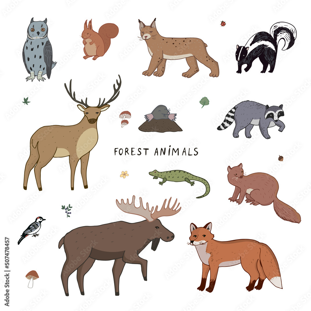 Obraz premium Forest animals vector illustrations set