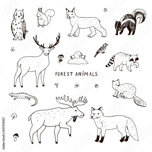 Forest animals vector illustrations line set