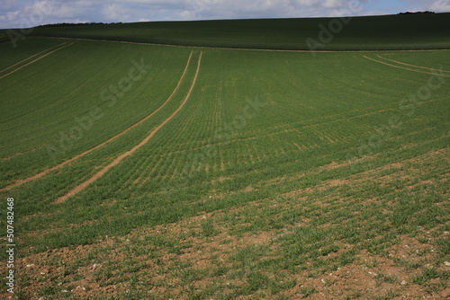 Rural path - Coteaux de la Seine - Val d'Oise - Ile-de-France - France