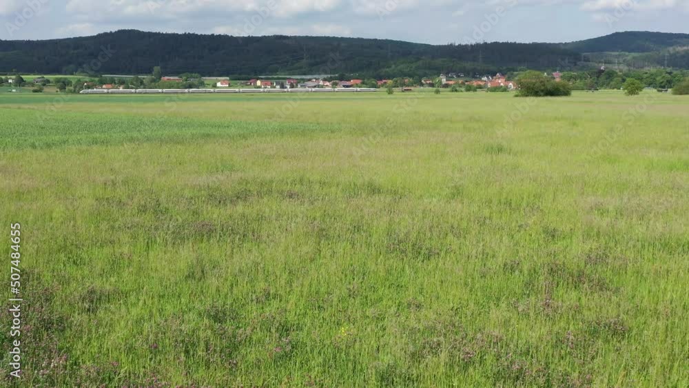 A grass field and meadow A grass field and meadow
