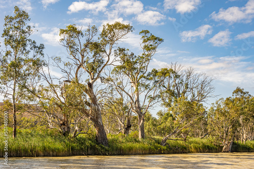 The Murray River in South Australia has many pristine environments along its beautiful  riverbanks