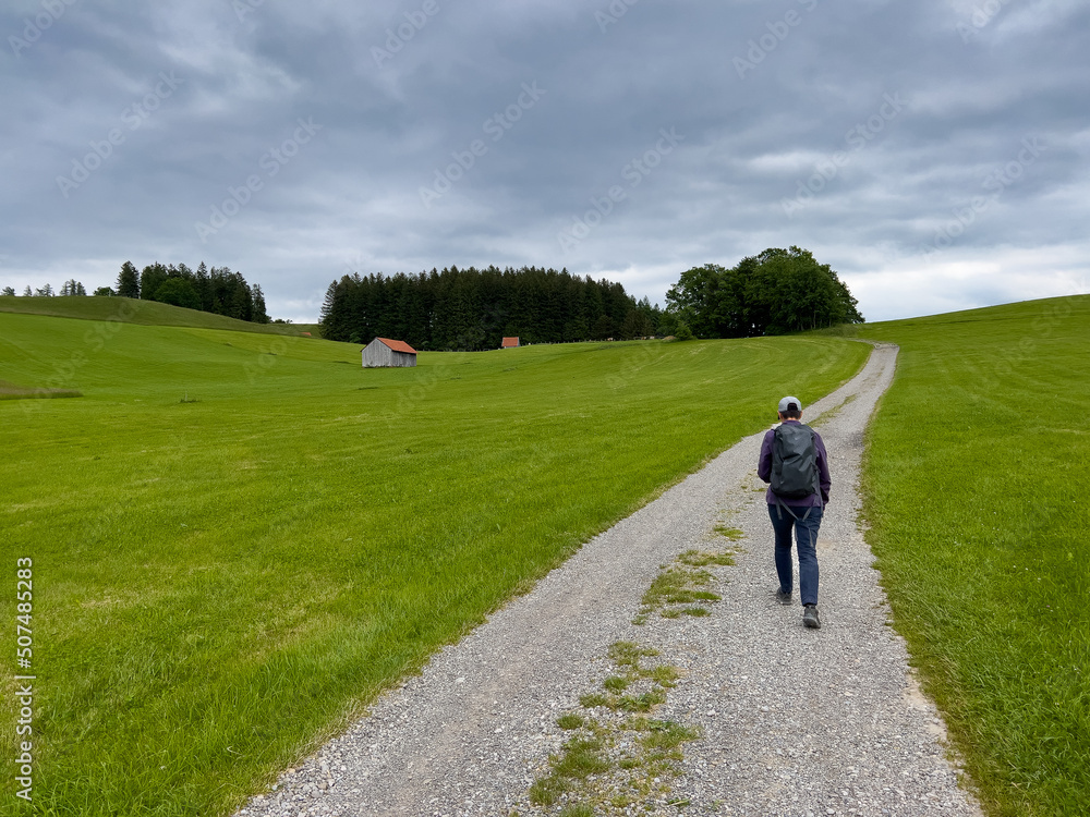 Fototapeta premium Im Allgäu bei Landsberg am Lech Bayern